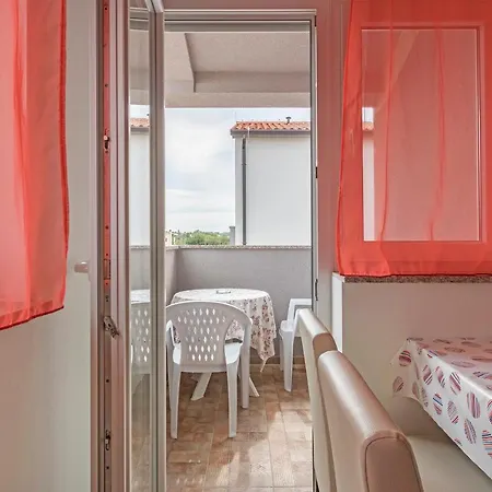 Apartment And New *